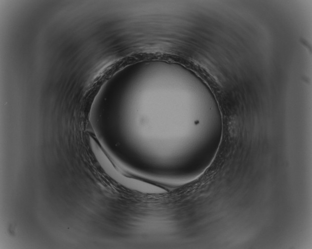 X0000093250968200709261716