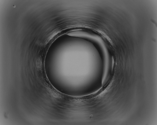 X0000093250969200709261716