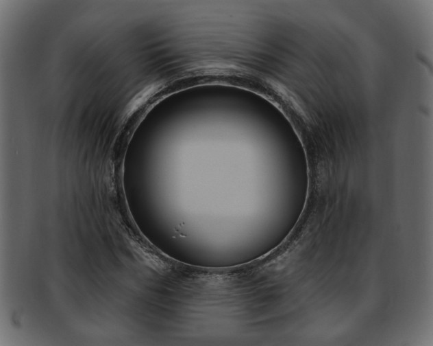 X0000093250970200709261716