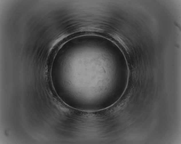 X0000093250971200709261716