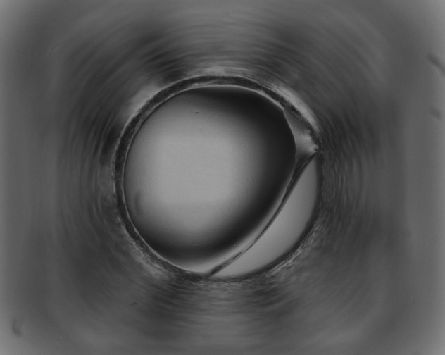 X0000093250972200709261716