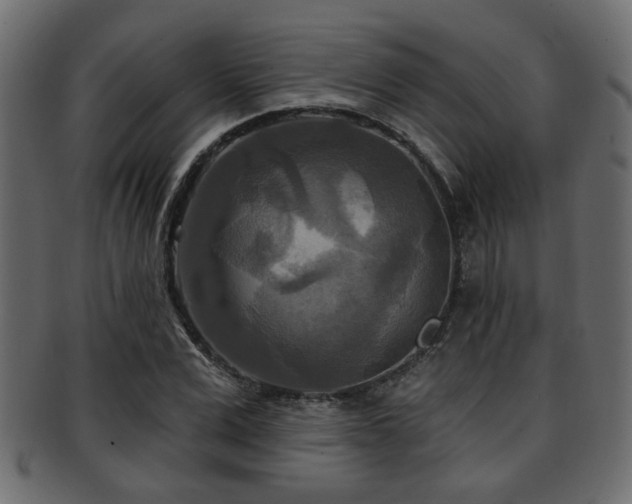 X0000093250975200709261716