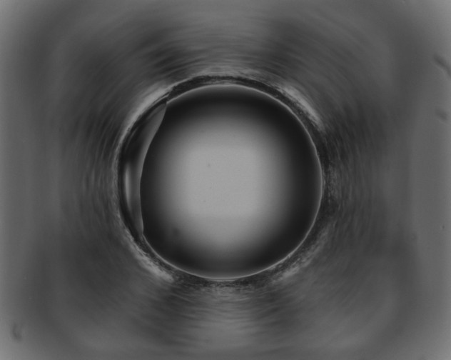 X0000093250976200709261716