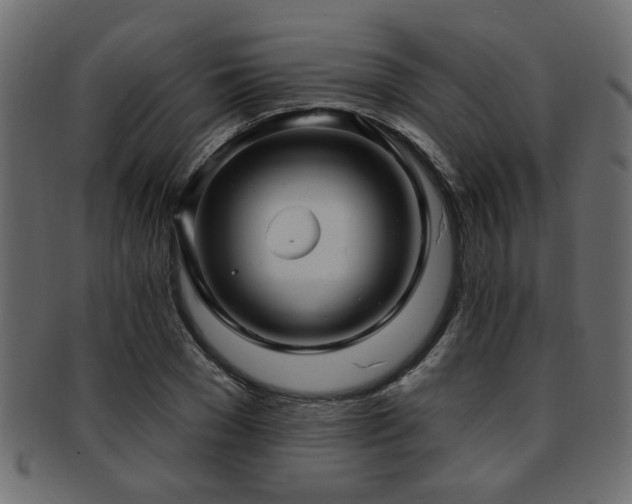 X0000093250977200709261716