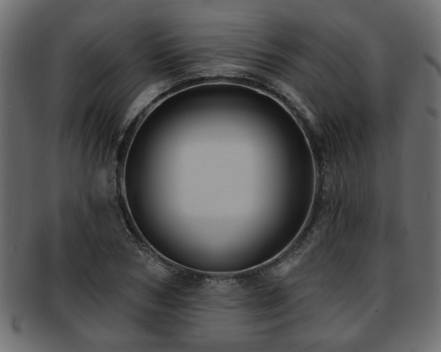 X0000093250978200709261716