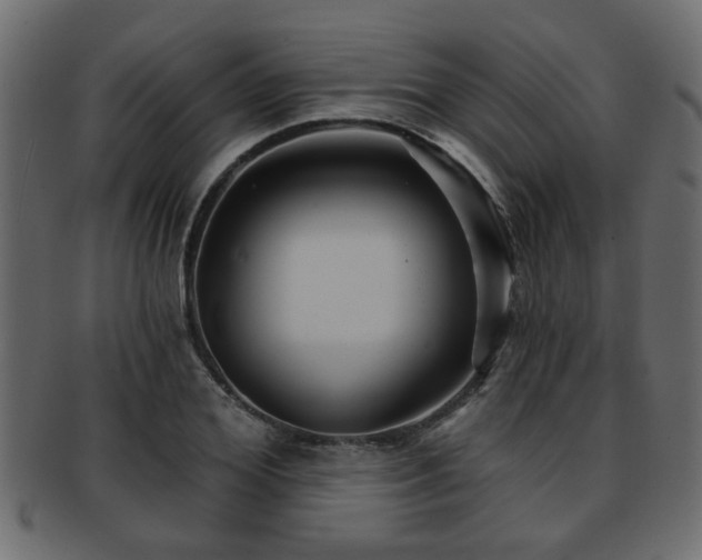 X0000093250980200709261716