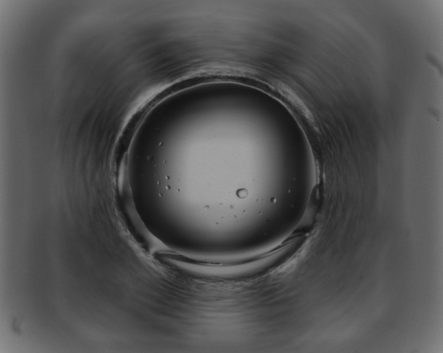 X0000093250981200709261716