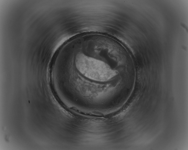 X0000093250983200709261716