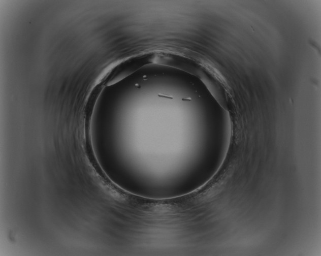 X0000093250984200709261716