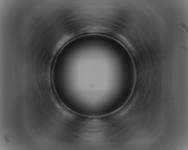 X0000093250986200709261716