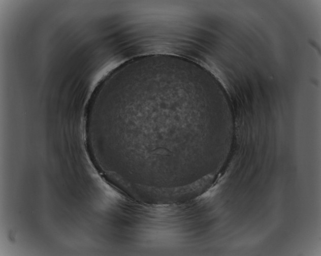 X0000093250987200709261716