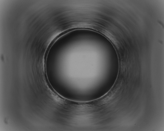 X0000093250988200709261716