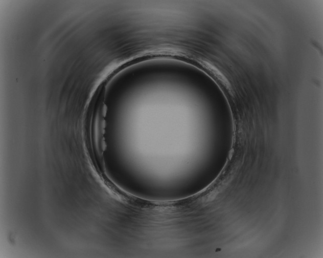 X0000093250989200709261716