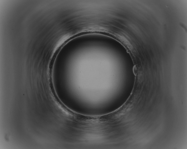 X0000093250990200709261716