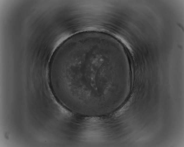 X0000093250991200709261716