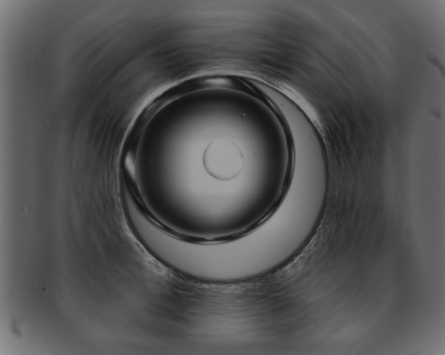 X0000093250996200709261716