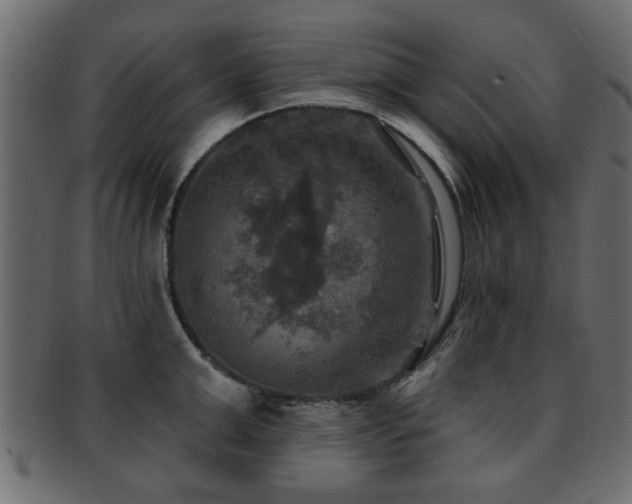 X0000093250999200709261716