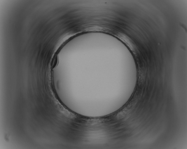 X0000093251000200709261716