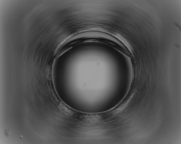 X0000093251001200709261716