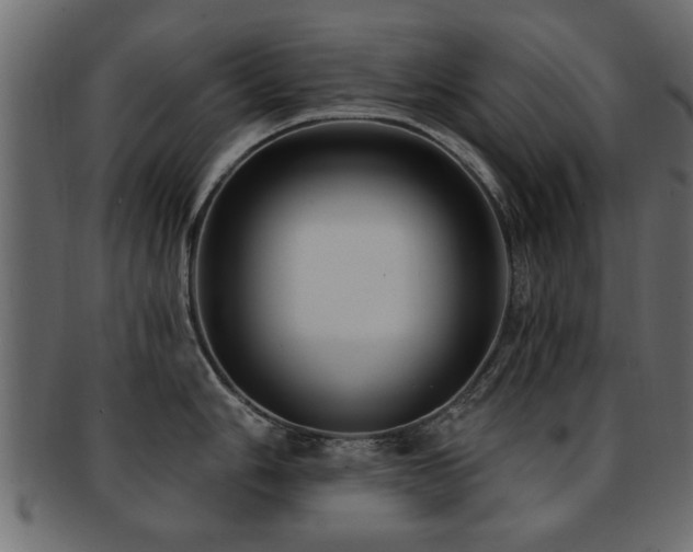 X0000093251006200709261716