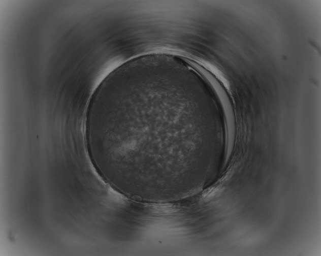 X0000093251007200709261716