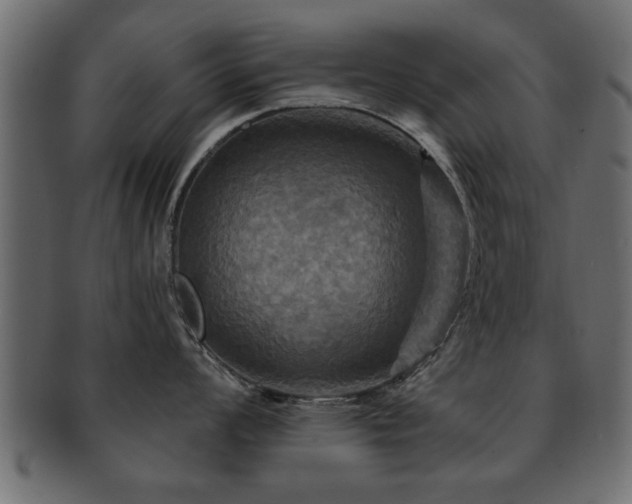 X0000093251008200709261716