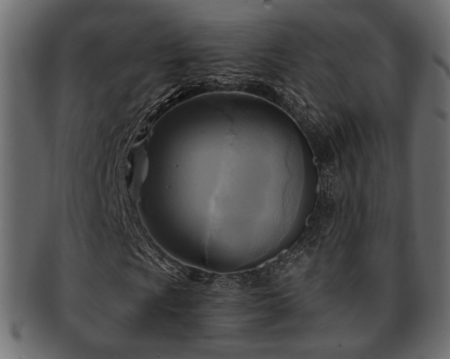 X0000093251009200709261715