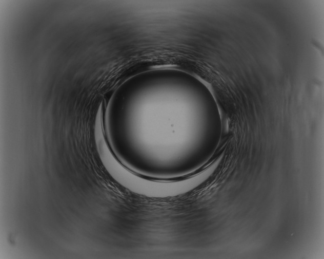 X0000093251010200709261715