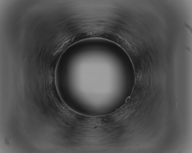 X0000093251012200709261715