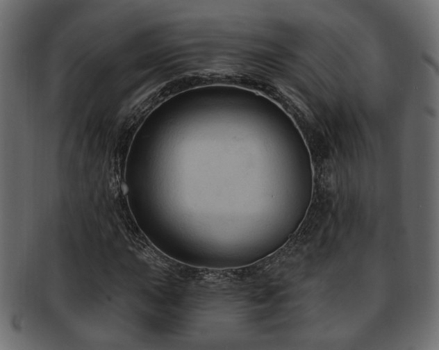 X0000093251015200709261715