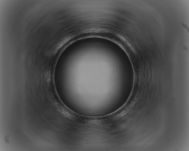 X0000093251017200709261715