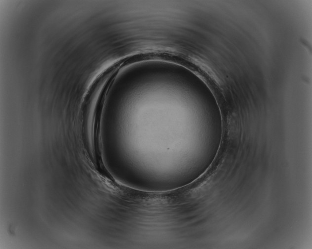 X0000093251021200709261715