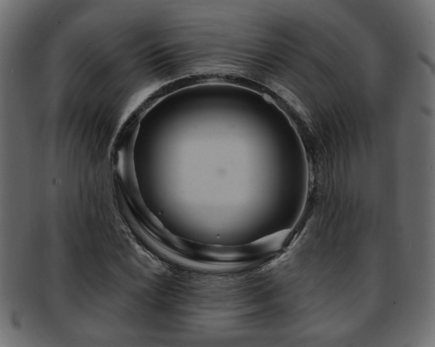 X0000093251022200709261715