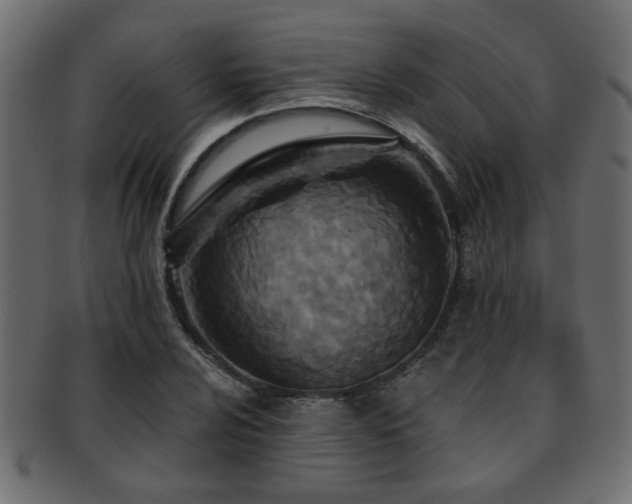 X0000093251024200709261715