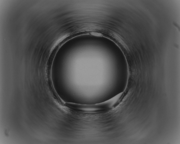 X0000093251026200709261715