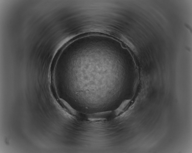 X0000093251028200709261715