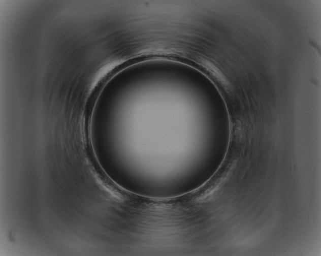 X0000093251030200709261715