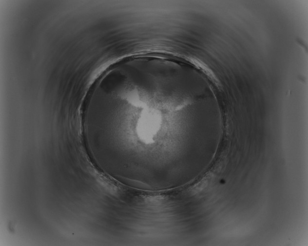 X0000093251031200709261715