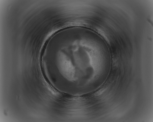 X0000093251035200709261715