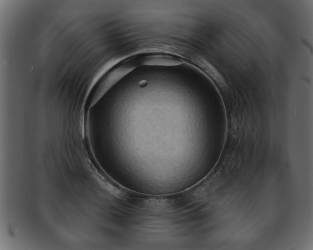 X0000093251036200709261715