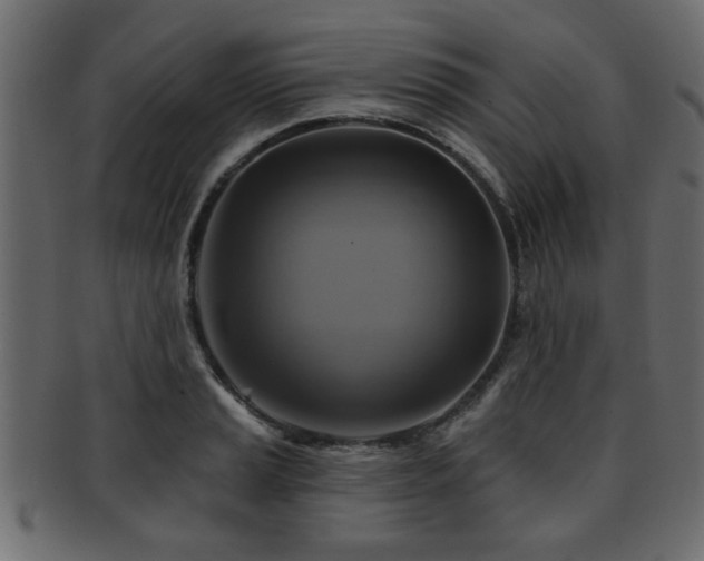 X0000093251037200709261715