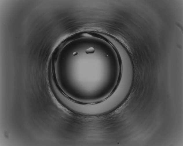 X0000093251038200709261715