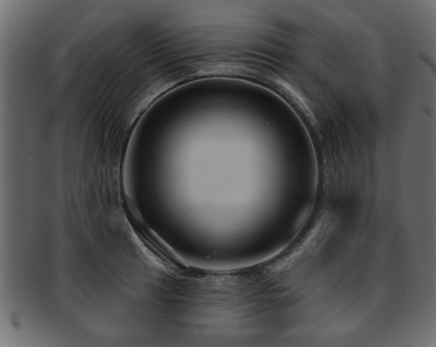 X0000093251041200709261715