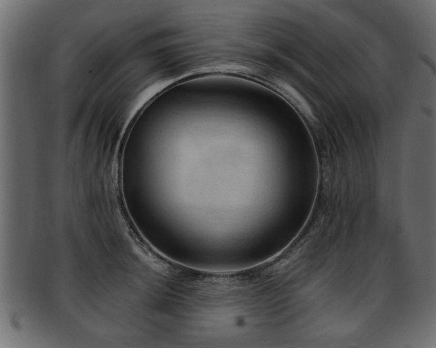 X0000093251044200709261716