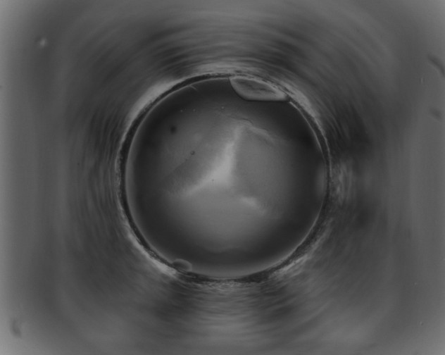 X0000093251045200709261716