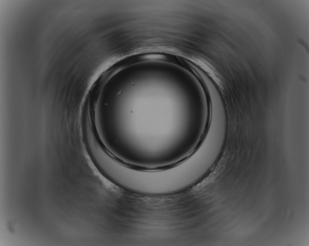 X0000093251046200709261716