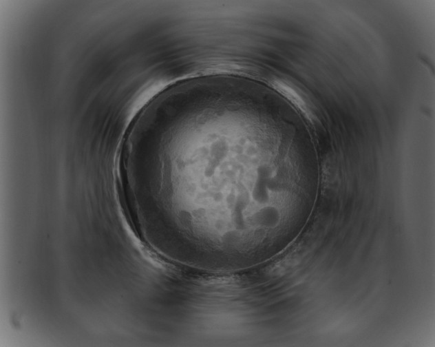 X0000093251047200709261716