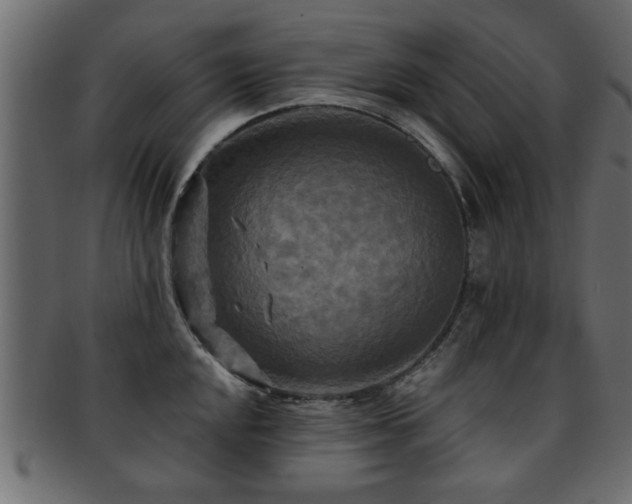 X0000093251048200709261716