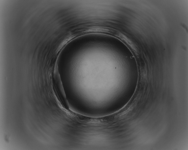 X0000093251049200709261716