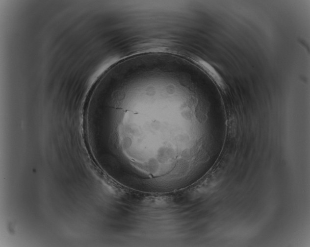 X0000093251051200709261716